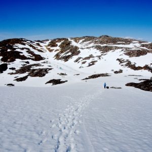 Snow on Gullfjellet
